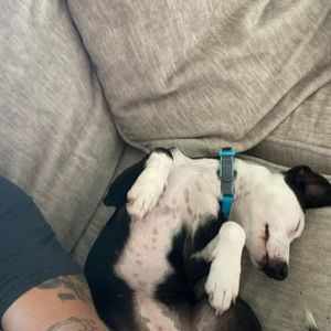 Meet your Posher, Jose